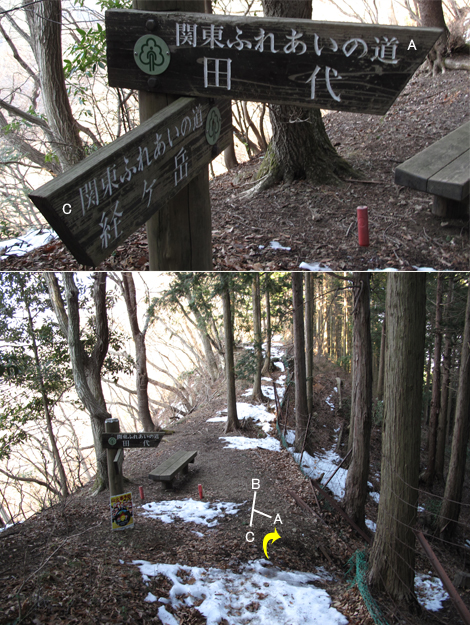 20160128hike (364)